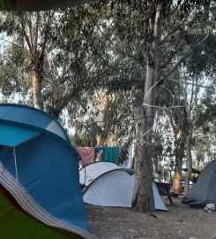 Çınar Camping