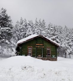 Abant Tabiat Parkı Kamp Alanı