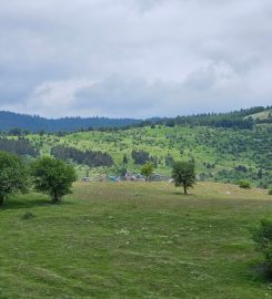 Düzce Kocayayla Kamp Alanı