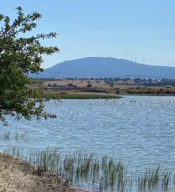 Enez Dalyan Gölü Kamp Alanı