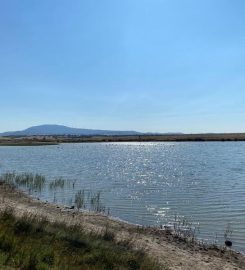 Enez Dalyan Gölü Kamp Alanı