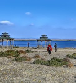 Gala Gölü Milli Parkı Kamp Alanı