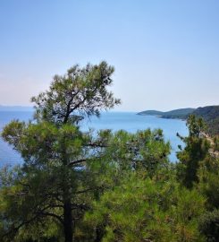 Sait Faik Abasıyanık Koyu Kamp Alanı