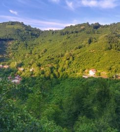 Sarı Yayla Barajı Kamp Alanı