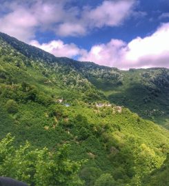 Sarı Yayla Barajı Kamp Alanı