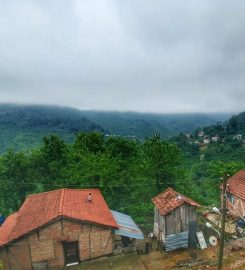 Sarı Yayla Barajı Kamp Alanı