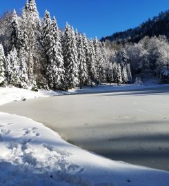 Torkul Gölü Kamp Alanı