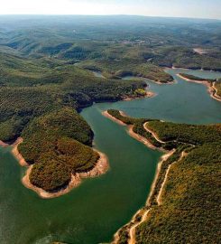 Istranca Ormanları Kamp Alanı