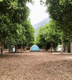 Adrasan Garden Camping