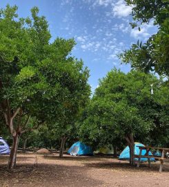 Adrasan Garden Camping