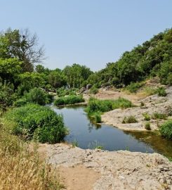 Ballıkayalar Tabiat Parkı Kamp Alanı