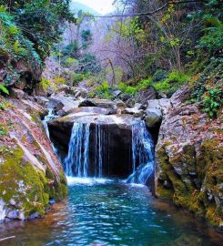 Beşkayalar Tabiat Parkı Kamp Alanı