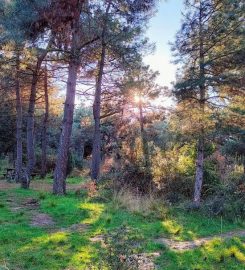 Gazilerdağı Tabiat Parkı Kamp Alanı