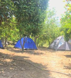 Gonca Camping