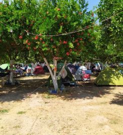 Gonca Camping