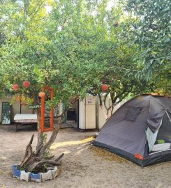 Gonca Camping