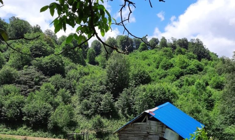 Kayaüstü Yaylası Kamp Alanı