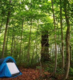 Kuzuyayla Tabiat Parkı Kamp Alanı