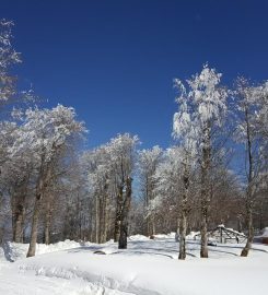 Kuzuyayla Tabiat Parkı Kamp Alanı