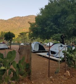 La Tortuga Camping