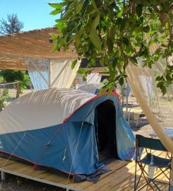 La Tortuga Camping