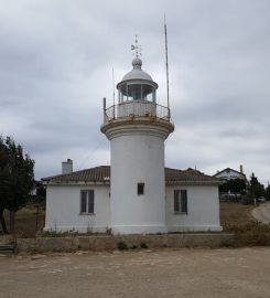 Limanköy Bakırdere Kanyonu Kamp Alanı