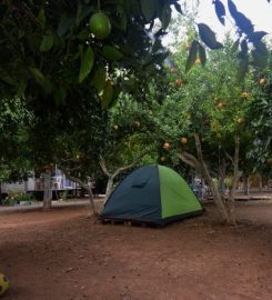 Pusula Camping