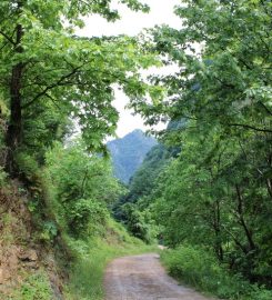 Serindere Kanyonu Kamp Alanı