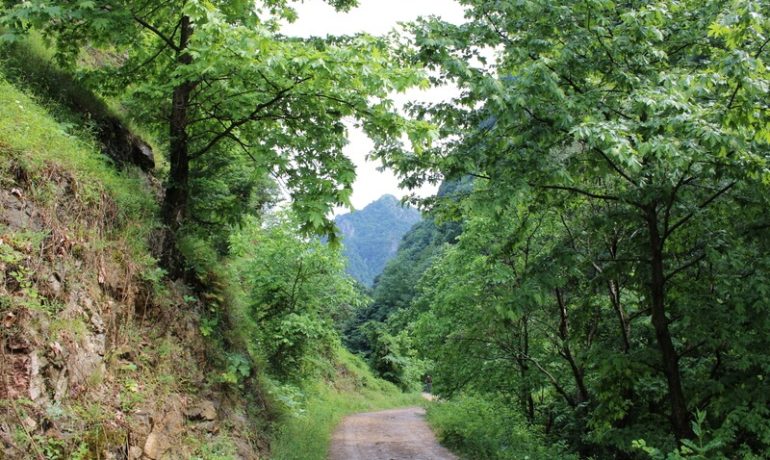 Serindere Kanyonu Kamp Alanı