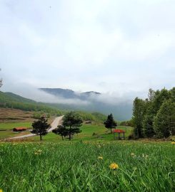 Suadiye Tabiat Parkı Kamp Alanı