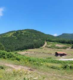 Suadiye Tabiat Parkı Kamp Alanı