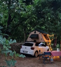 Tavus Kuşu Camping & Karavan