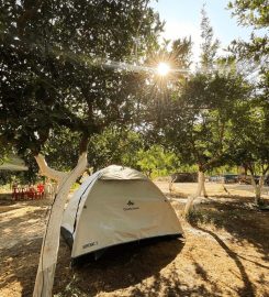 Şirinler Camping