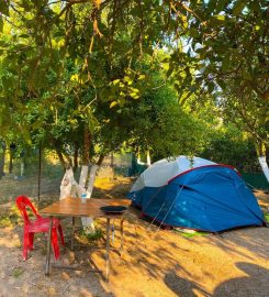 Şirinler Camping