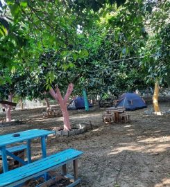 Adrasan Gizli Bahçe Camping