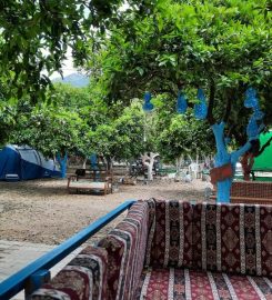 Adrasan Gizli Bahçe Camping