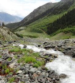 Altıparmak Tabiat Parkı Kamp Alanı