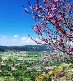 Bezirgân Köyü Kamp Alanı