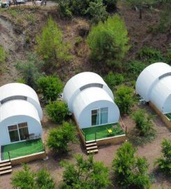 Evergreen Glamping