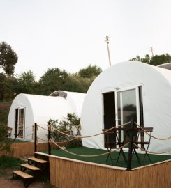 Evergreen Glamping