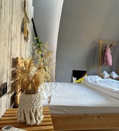 Evergreen Glamping