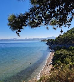 Kuşadası İçmeler Koyu Kamp Alanı