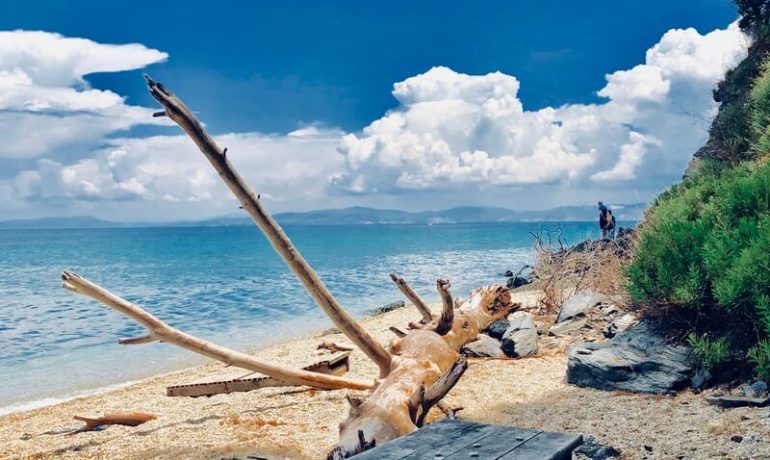 Kuşadası Karasu Koyu Kamp Alanı