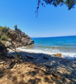 Kuşadası Karasu Koyu Kamp Alanı