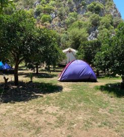 Lotus Camping Olimpos