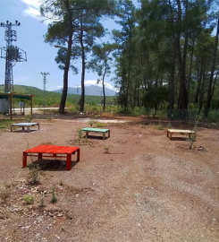 Olympos Doğa Camping