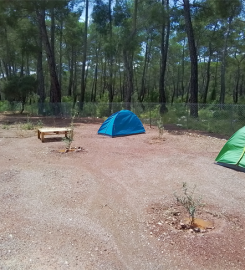 Olympos Doğa Camping