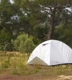 Orman Camping