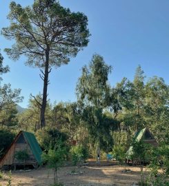 Zen Bungalov Camping Olympos