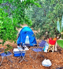 Zeytin Camping ve Apart Evleri